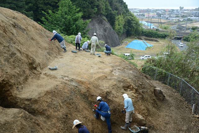 亀居城跡下段作業風景（西から）　