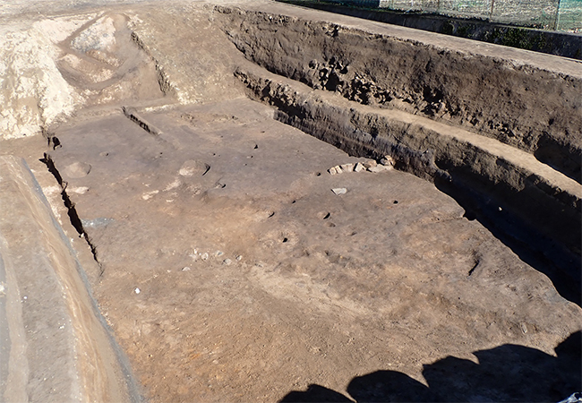 1区南 柵列・石列(北東から) 1区南 柵列・石列(北東から)