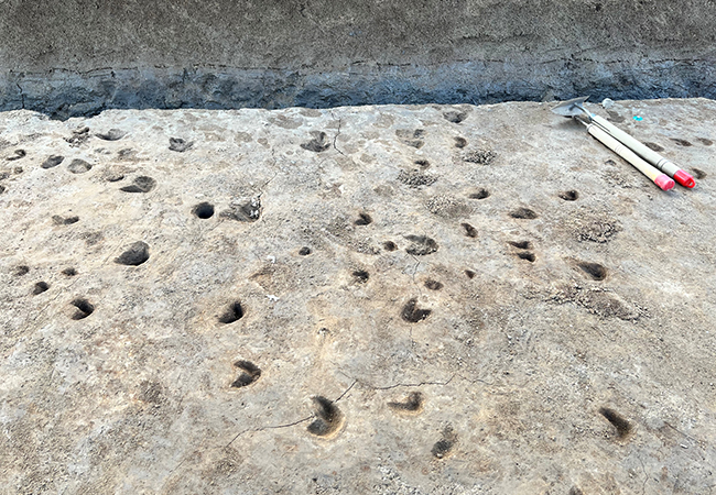 2区北 馬とおもわれる足跡(南から) 2区北 馬とおもわれる足跡(南から)