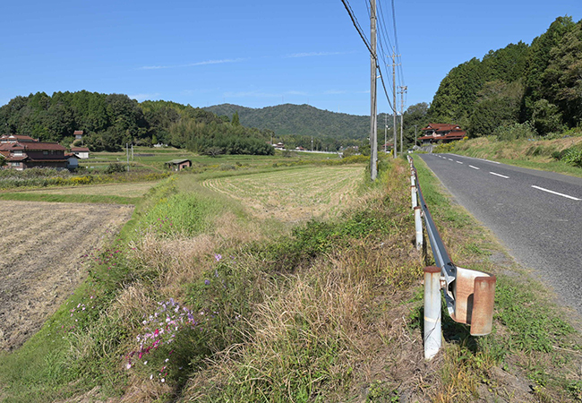 調査前風景(東から) 調査前風景(東から)
