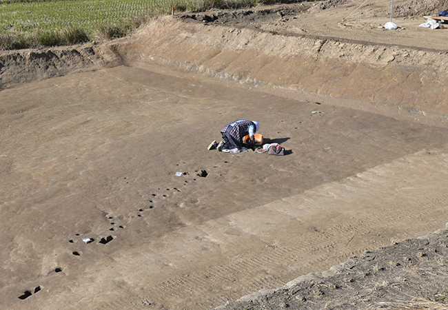 SA1作業風景(東から) SA1作業風景(東から)