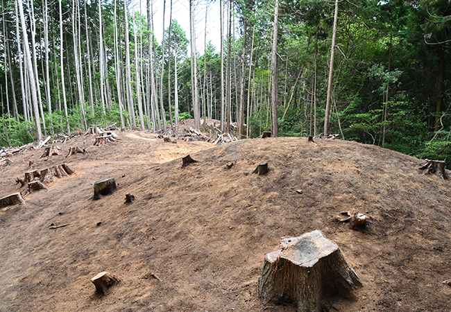 灰塚第8～10号古墳調査前状況（北西から）