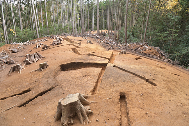 灰塚第８～11号古墳完掘状況