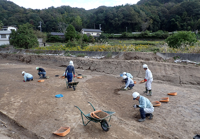 ２区作業風景（南西から）