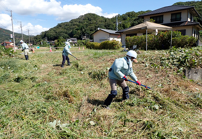 作業風景(伐採) 作業風景(伐採)