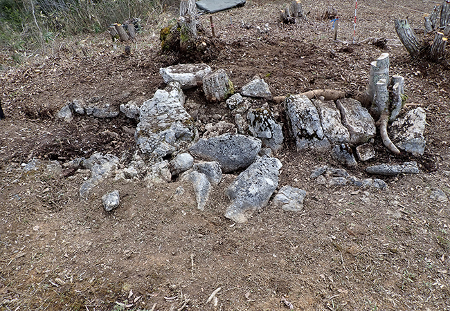 横穴式石室(西から) 横穴式石室(西から)